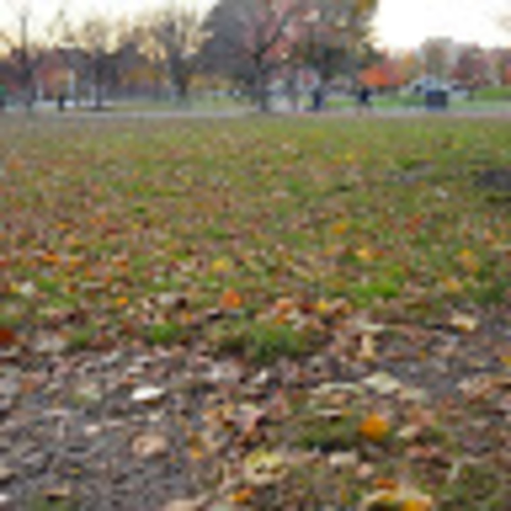 Meet your Posher, Fiona